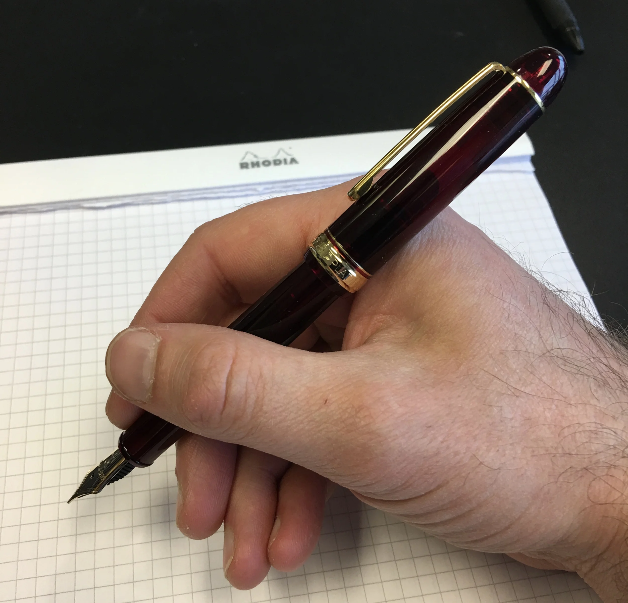 Pen Review: The Platinum 3776 Century: Chartres and Bourgogne